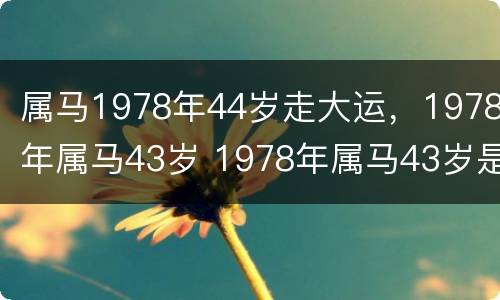 属马1978年44岁走大运，1978年属马43岁 1978年属马43岁是哪一年