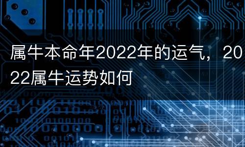 属牛本命年2022年的运气，2022属牛运势如何