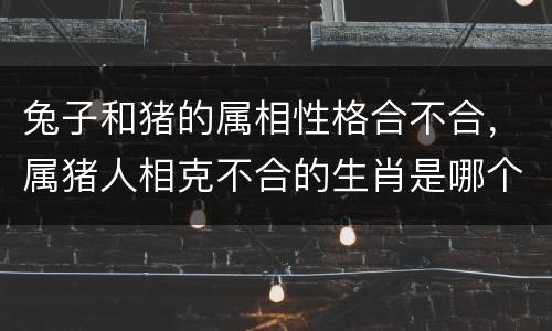 兔子和猪的属相性格合不合，属猪人相克不合的生肖是哪个？