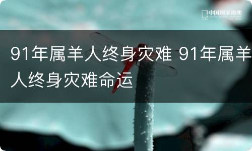 91年属羊人终身灾难 91年属羊人终身灾难命运