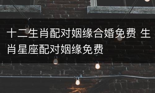 十二生肖配对姻缘合婚免费 生肖星座配对姻缘免费
