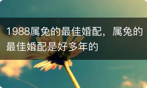 1988属兔的最佳婚配，属兔的最佳婚配是好多年的