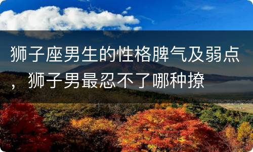 狮子座男生的性格脾气及弱点，狮子男最忍不了哪种撩