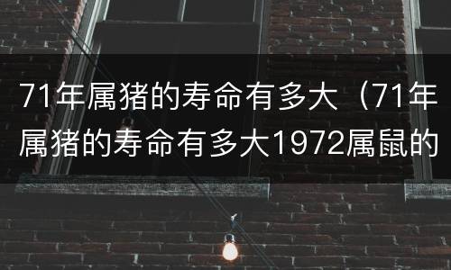 71年属猪的寿命有多大（71年属猪的寿命有多大1972属鼠的女人寿命有多长）