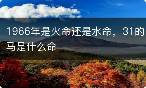 1966年是火命还是水命，31的马是什么命