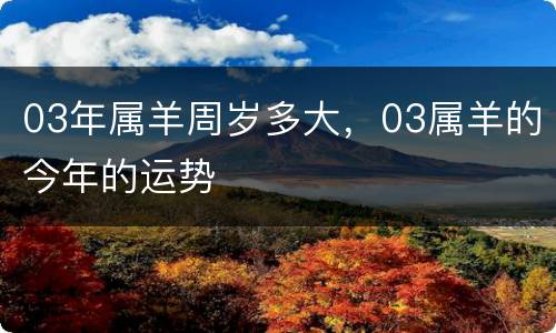 03年属羊周岁多大，03属羊的今年的运势