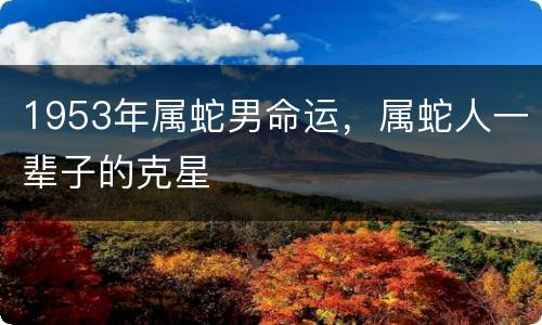 1953年属蛇男命运，属蛇人一辈子的克星