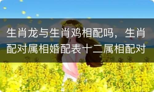 生肖龙与生肖鸡相配吗，生肖配对属相婚配表十二属相配对吉凶表