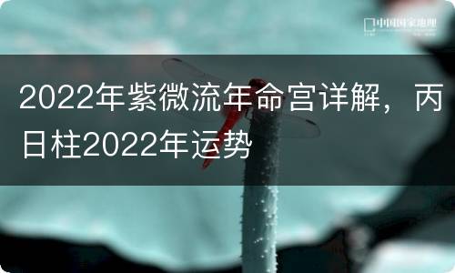 2022年紫微流年命宫详解，丙日柱2022年运势