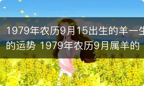 1979年农历9月15出生的羊一生的运势 1979年农历9月属羊的人什么命
