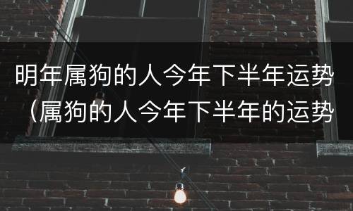 明年属狗的人今年下半年运势（属狗的人今年下半年的运势怎样）