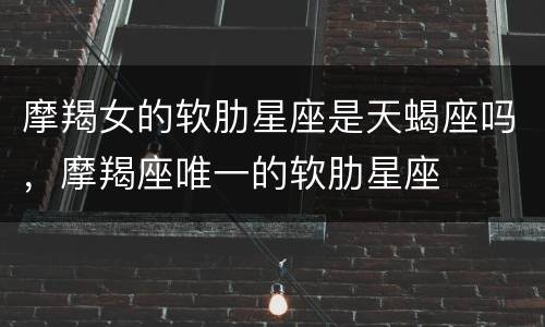 摩羯女的软肋星座是天蝎座吗，摩羯座唯一的软肋星座