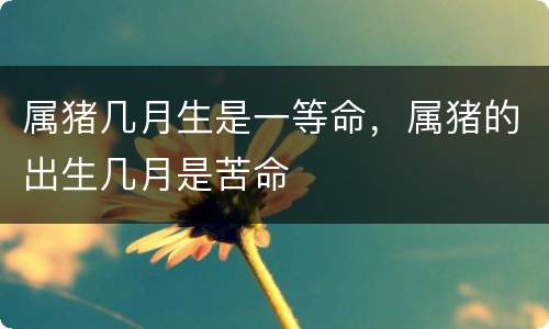 属猪几月生是一等命，属猪的出生几月是苦命