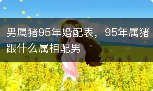 男属猪95年婚配表，95年属猪跟什么属相配男