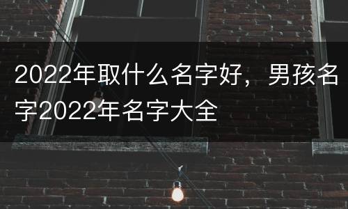 2022年取什么名字好，男孩名字2022年名字大全