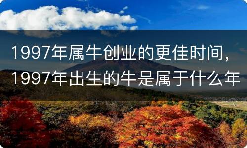 1997年属牛创业的更佳时间，1997年出生的牛是属于什么年