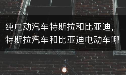 纯电动汽车特斯拉和比亚迪，特斯拉汽车和比亚迪电动车哪个好？