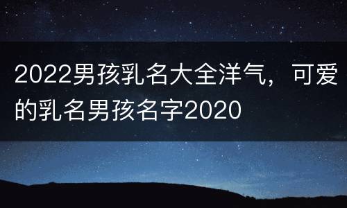 2022男孩乳名大全洋气，可爱的乳名男孩名字2020