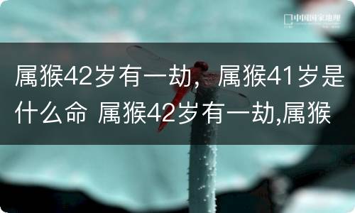属猴42岁有一劫，属猴41岁是什么命 属猴42岁有一劫,属猴41岁是什么命