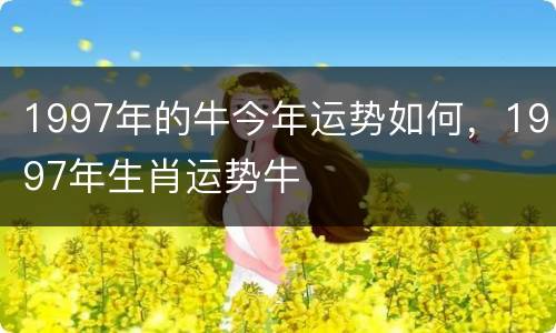 1997年的牛今年运势如何，1997年生肖运势牛