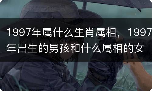 1997年属什么生肖属相，1997年出生的男孩和什么属相的女