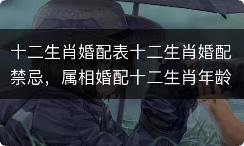 十二生肖婚配表十二生肖婚配禁忌，属相婚配十二生肖年龄表