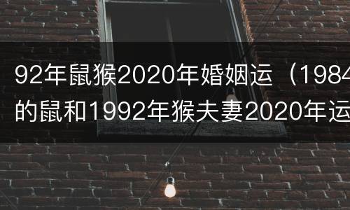 92年鼠猴2020年婚姻运（1984的鼠和1992年猴夫妻2020年运势）