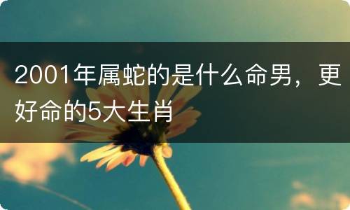2001年属蛇的是什么命男，更好命的5大生肖