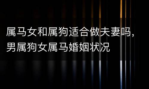 属马女和属狗适合做夫妻吗，男属狗女属马婚姻状况