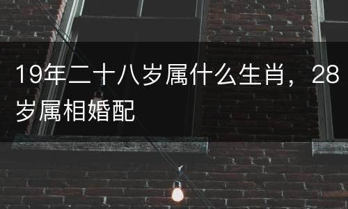 19年二十八岁属什么生肖，28岁属相婚配