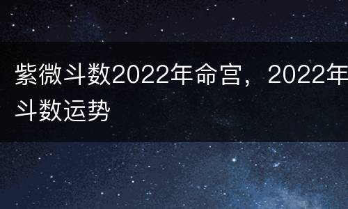紫微斗数2022年命宫，2022年斗数运势