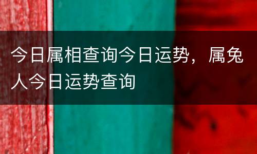 今日属相查询今日运势，属兔人今日运势查询