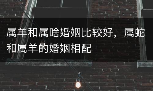 属羊和属啥婚姻比较好，属蛇和属羊的婚姻相配