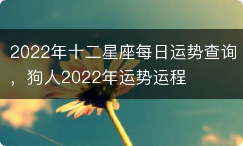 2022年十二星座每日运势查询，狗人2022年运势运程