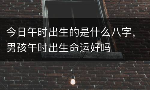 今日午时出生的是什么八字，男孩午时出生命运好吗