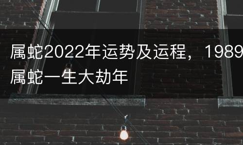 属蛇2022年运势及运程，1989属蛇一生大劫年