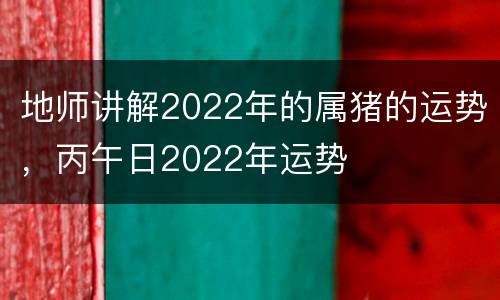 地师讲解2022年的属猪的运势，丙午日2022年运势