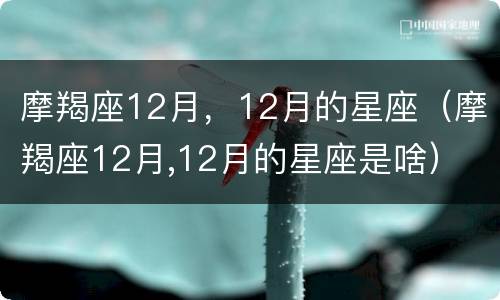 摩羯座12月，12月的星座（摩羯座12月,12月的星座是啥）