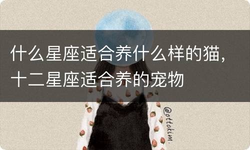什么星座适合养什么样的猫，十二星座适合养的宠物