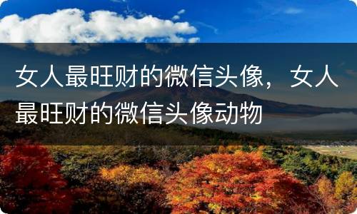 女人最旺财的微信头像，女人最旺财的微信头像动物