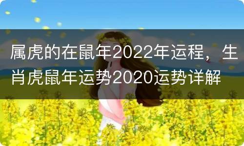 属虎的在鼠年2022年运程，生肖虎鼠年运势2020运势详解