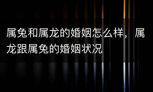 属兔和属龙的婚姻怎么样，属龙跟属兔的婚姻状况