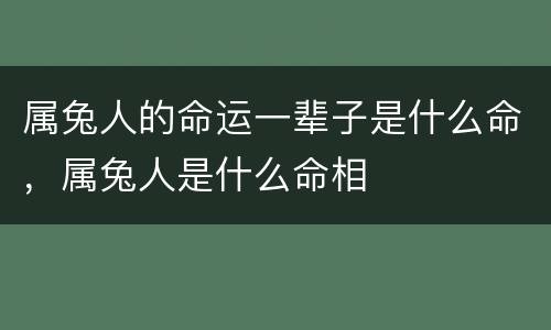 属兔人的命运一辈子是什么命，属兔人是什么命相