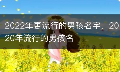 2022年更流行的男孩名字，2020年流行的男孩名