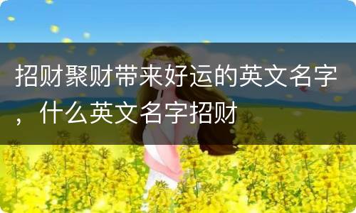 招财聚财带来好运的英文名字，什么英文名字招财