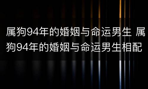 属狗94年的婚姻与命运男生 属狗94年的婚姻与命运男生相配