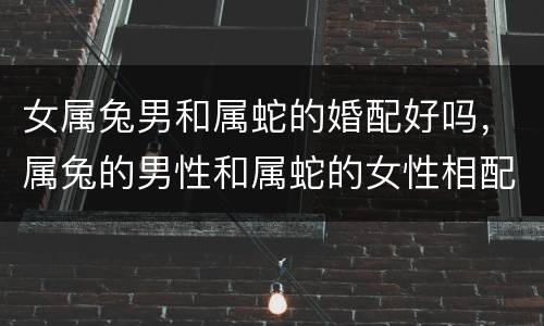 女属兔男和属蛇的婚配好吗，属兔的男性和属蛇的女性相配吗?生活怎么样?