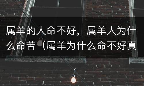 属羊的人命不好，属羊人为什么命苦（属羊为什么命不好真相是什么）