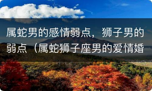 属蛇男的感情弱点，狮子男的弱点（属蛇狮子座男的爱情婚姻）