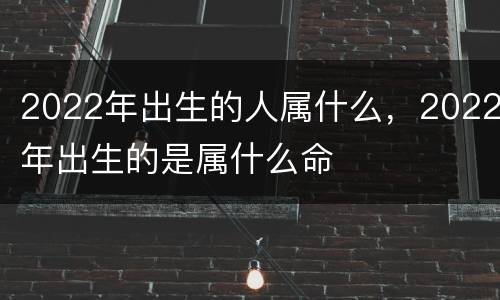 2022年出生的人属什么，2022年出生的是属什么命